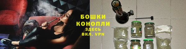 трава Архангельск