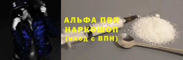 стаф Киренск