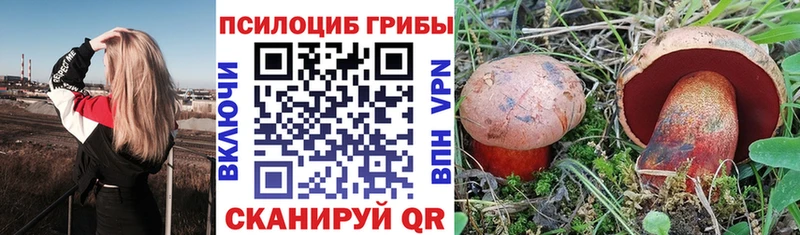 Псилоцибиновые грибы прущие грибы площадка состав Княгинино